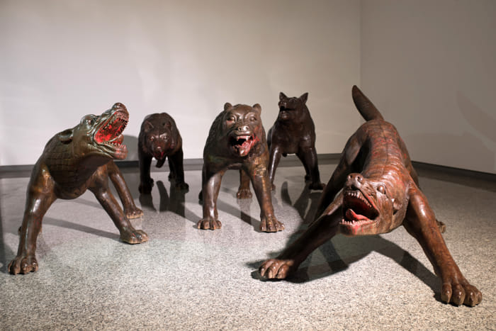 NAPOLI >- Lupi invadono piazza Municipio