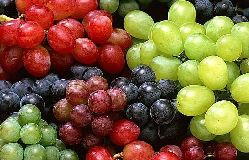 𝑺𝒕𝒂𝒓𝒆 𝒃𝒆𝒏𝒆 𝒎𝒂𝒏𝒈𝒊𝒂𝒏𝒅𝒐 𝒖𝒗𝒂, 𝒍𝒂 𝒄𝒖𝒓𝒂 𝒅𝒆𝒍𝒍’𝒖𝒗𝒂