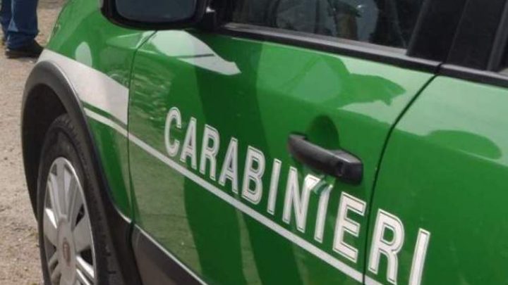 MONTEMARANO (AV) – SICUREZZA SUI LUOGHI DI LAVORO: I CARABINIERI FORESTALI DENUNCIANO UN IMPRENDITORE BOSCHIVO
