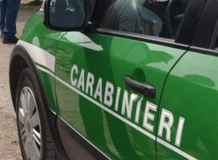 MONTEMARANO (AV) – SICUREZZA SUI LUOGHI DI LAVORO: I CARABINIERI FORESTALI DENUNCIANO UN IMPRENDITORE BOSCHIVO