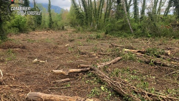DENUNCIATO 70enne per deterioramento e distruzione di bellezze naturali