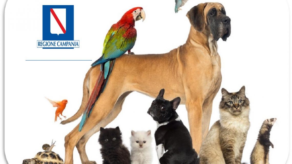 LA REGIONE CHIARISCE