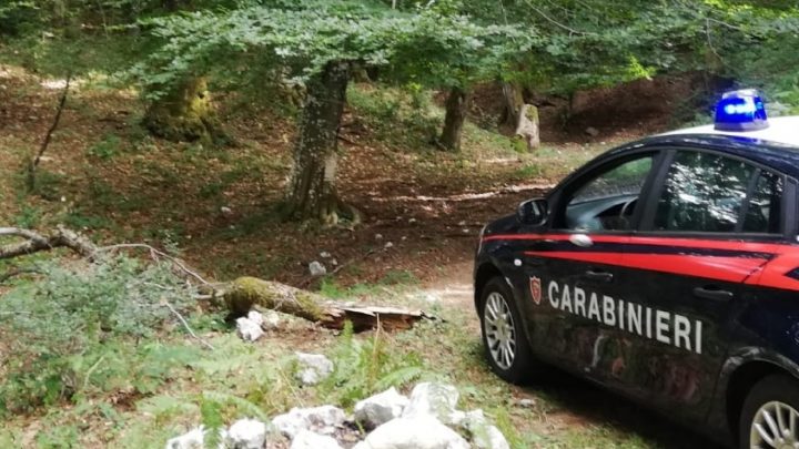 MONTEVERGINE “CAMPO MAGGIORE” (AV) – FURTO DI LEGNA IN AREA PROTETTA: I CARABINIERI DENUNCIANO DUE PERSONE. 