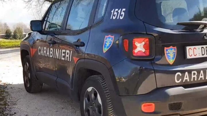 AVELLA (AV) CONTROLLI PER LA TUTELA DELLAMBIENTE E DELLA SALUTE PUBBLICA: I CARABINIERI FORESTALI DENUNCIANO IL TITOLARE DI UNAZIENDA.