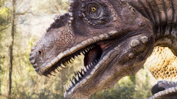 Arrivano i Dinosauri a Napoli. Alla mostra d’Oltremare di Napoli la più grande esposizione d’Europa.