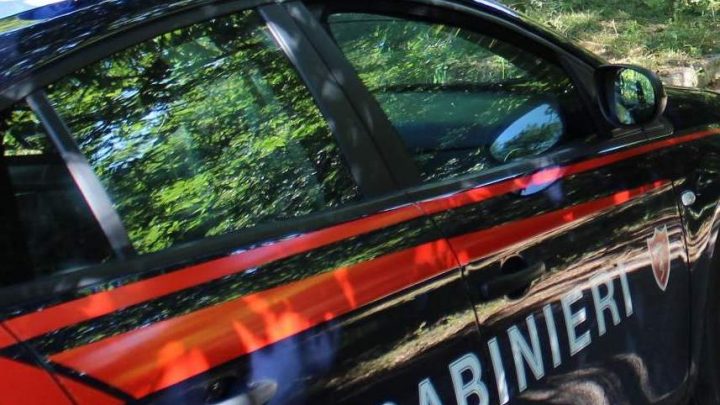 AIELLO DEL SABATO (AV) – ROGHI AGRICOLI: I CARABINIERI DENUNCIANO LA PROPRIETARIA DI UN FONDO AGRICOLO.