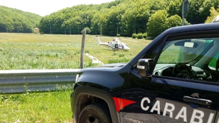 FORINO (AV) – ROGHI AGRICOLI: I CARABINIERI DENUNCIANO UN 40ENNE