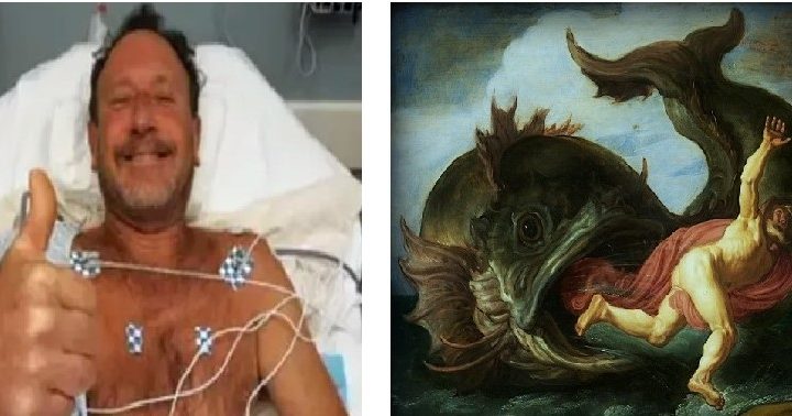 Pescatore inghiottito dalla balena e sputato in mare