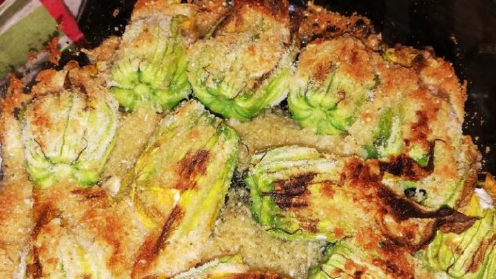 Estate: tempo di fiori di zucca