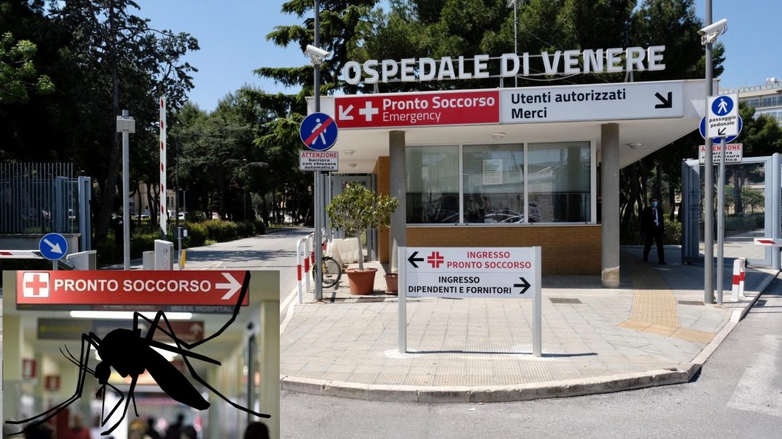 BARI – Ospedale “Di Venere” – Carbonara di Bari, l’invasione delle zanzare: «Aiutateci, ci mangiano vivi»