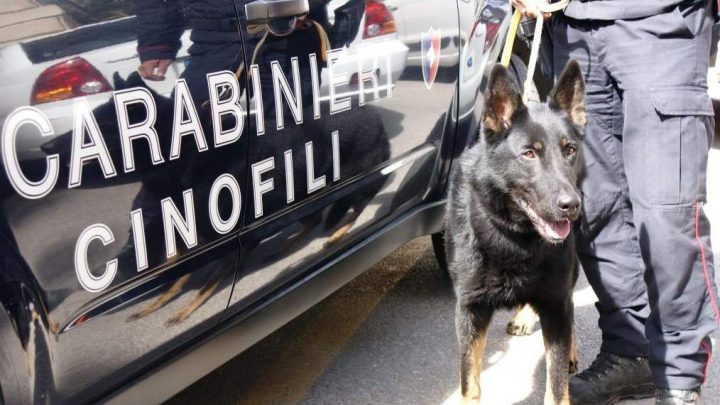 A SCUOLA CON LA DROGA IN TASCA: SEGNALATO 18ENNE ALLA PREFETTURA DI AVELLINO