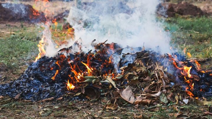 Accendono un fuoco per bruciare frasche, denunciate due persone