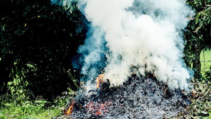 Avevano dato fuoco a sterpaglie vegetali, due persone denunciate