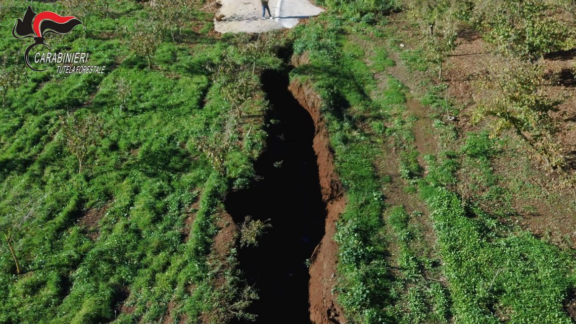 Gruppo Carabinieri Forestale di Avellino – Movimento franoso nel comune di Altavilla Irpina (AV): i Carabinieri Forestali denunciano 4 persone