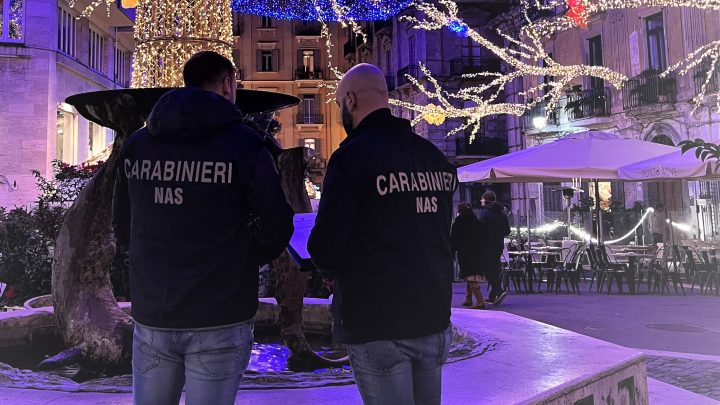 Salerno E Provincia. I Carabinieri Del Nas Di Salerno Sequestrano Alimenti Tipici Delle Festivita’ Natalizie E Giocattoli Non Conformi.