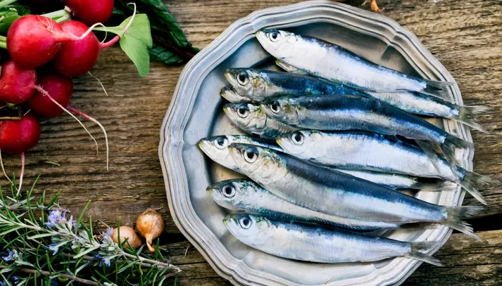 TUTTE LE PROPRIETA’ DEL PESCE AZZURRO TUTTE LE PROPRIETA’ DEL PESCE AZZURRO