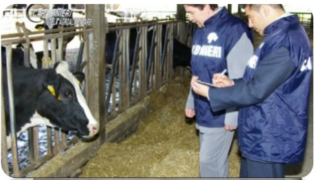 CARABINIERI – CONTROLLANO UN’AZIENDA AGRICOLA NELL’AGRO NOCERINO-SARNESE, SCATTA LA MULTA DI 8500 EURO CARABINIERI – CONTROLLANO UN’AZIENDA AGRICOLA NELL’AGRO NOCERINO-SARNESE, SCATTA LA MULTA DI 8500 EURO