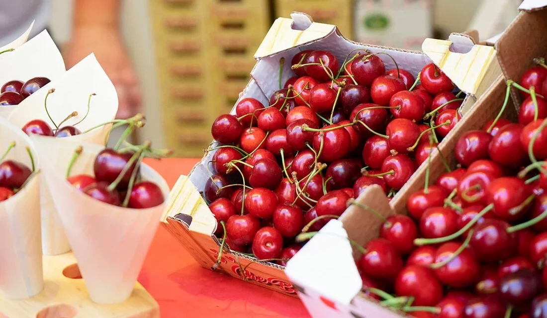 A TURI (Bari) LA CILIEGIA PIU’ BUONA D’ITALIA A TURI (Bari) LA CILIEGIA PIU’ BUONA D’ITALIA