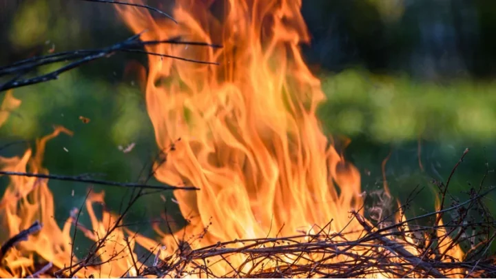 RISCHIO INCENDI, AL VIA CAMPAGNA ESTIVA DI PREVENZIONE: FINO AL 20 SETTEMBRE È VIETATO ACCENDERE FUOCHI NEI BOSCHI E BRUCIARE RESIDUI VEGETALI