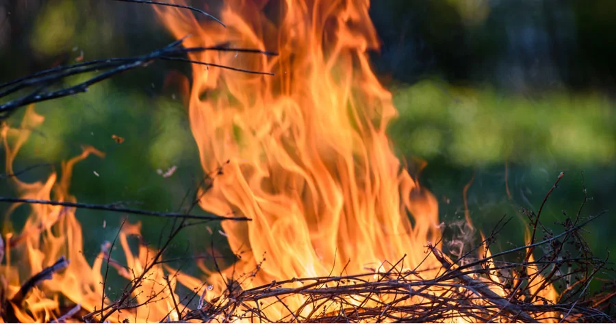 RISCHIO INCENDI, AL VIA CAMPAGNA ESTIVA DI PREVENZIONE: FINO AL 20 SETTEMBRE È VIETATO ACCENDERE FUOCHI NEI BOSCHI E BRUCIARE RESIDUI VEGETALI