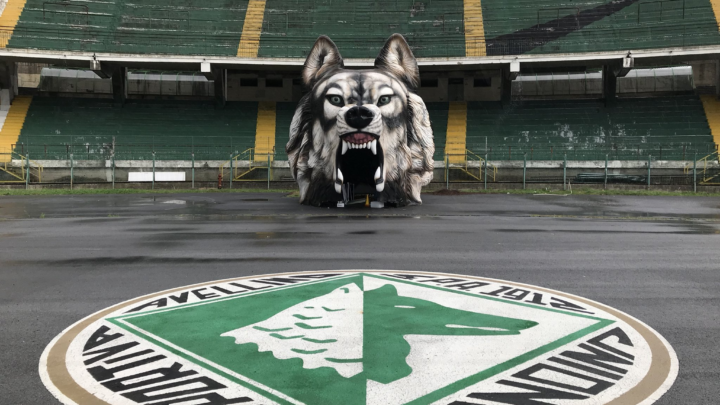 DEMME  CONDIZIONA  LE  SCELTE  DEI  LUPI