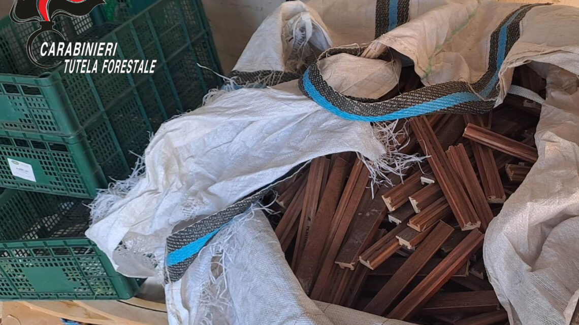 Gruppo Carabinieri Forestale Avellino – Controlli settore agroalimentare