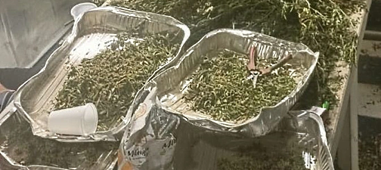 Operazione antidroga ad Anzio, 3 arresti e 97 chili di droga sequestrati