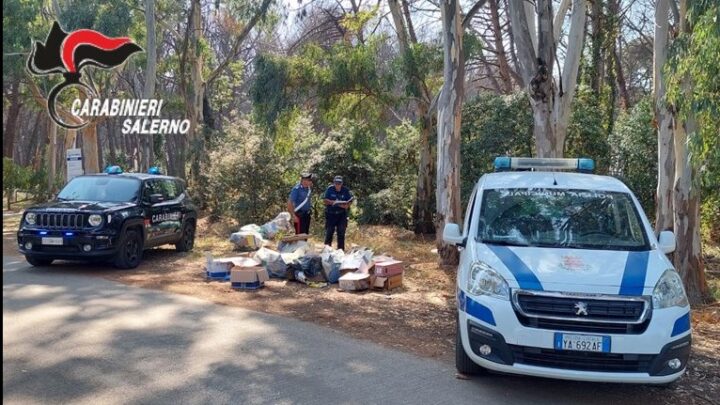 CAMPOLONGO (SA): ABBANDONANO RIFIUTI NELLA PINETA, CARABINIERI E POLIZIA MUNICIPALE INDIVIDUANO E SANZIONANO DUE ATTIVITA’ COMMERCIALI