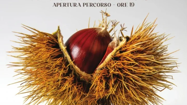 Festa della Castagna – San Rufo