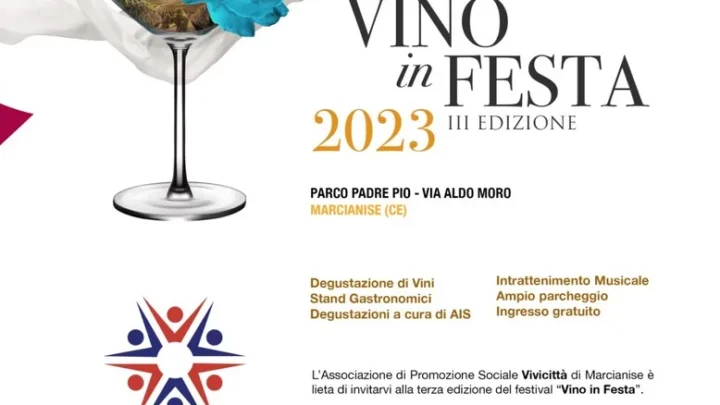 Vino in Festa