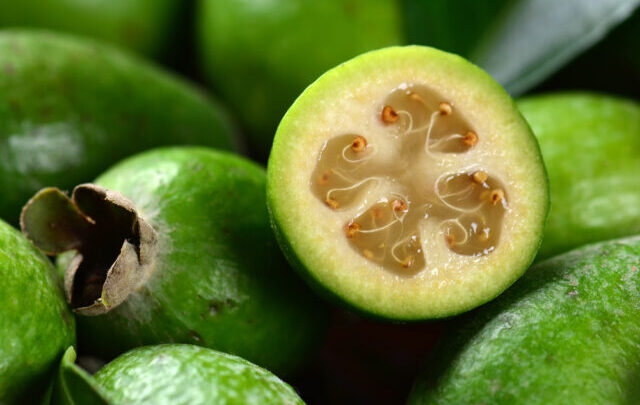Feijoa: benefici e proprietà