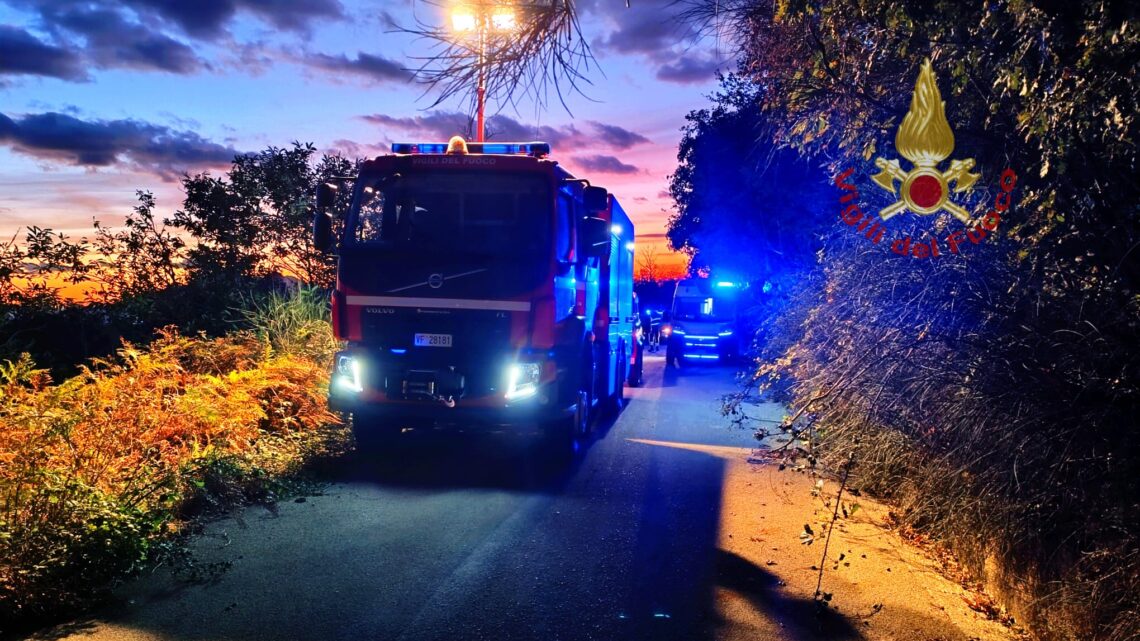 Esce da casa per cercare funghi ma non torna: ritrovato senza vita 63enne dai Vigili del Fuoco Esce da casa per cercare funghi ma non torna: ritrovato senza vita 63enne dai Vigili del Fuoco