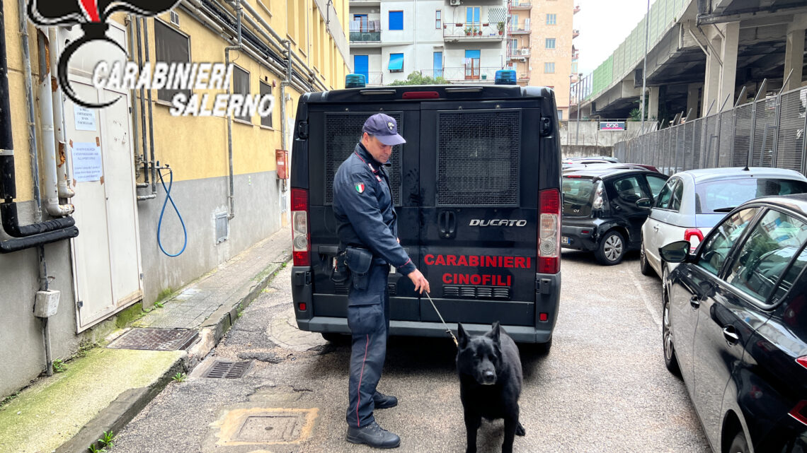 SALA CONSILINA (SA): UNITÀ CINOFILE DEI CARABINIERI IMPIEGATE IN CONTROLLI ANTIDROGA NELLE SCUOLE. RINVENUTA SOSTANZA STUPEFACENTE DEL TIPO HASHISH SALA CONSILINA (SA): UNITÀ CINOFILE DEI CARABINIERI IMPIEGATE IN CONTROLLI ANTIDROGA NELLE SCUOLE. RINVENUTA SOSTANZA STUPEFACENTE DEL TIPO HASHISH