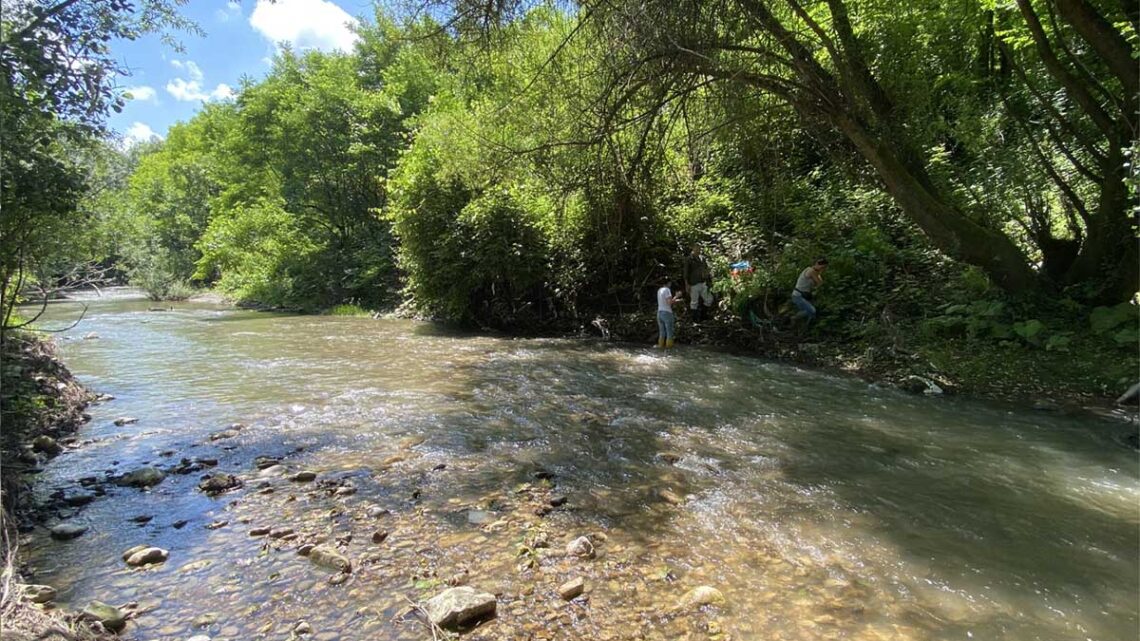 OneAquaHealth, giornata di studio sul monitoraggio dell’acqua dolce urbana