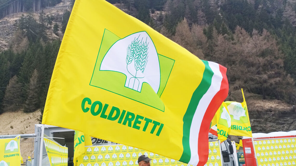 Gli 80 anni di Coldiretti: domani l’assemblea degli agricoltori napoletani Gli 80 anni di Coldiretti: domani l’assemblea degli agricoltori napoletani