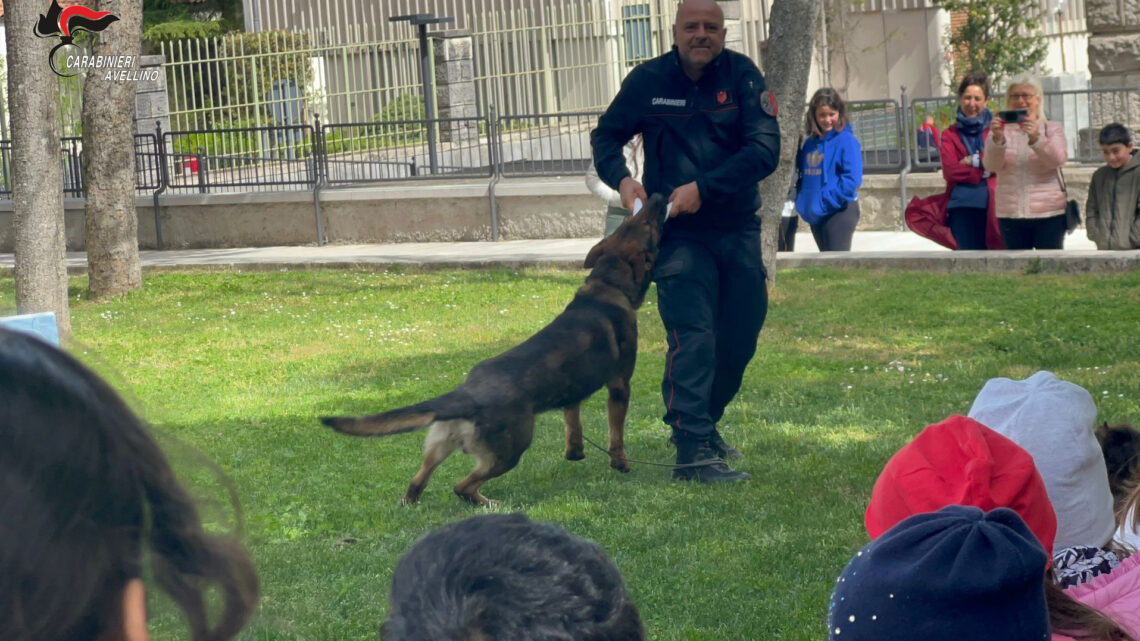 Lacedonia (AV): “neo” il cane carabiniere protagonista di una giornata con gli studenti dell’Istituto Comprensivo “F. De Sanctis”