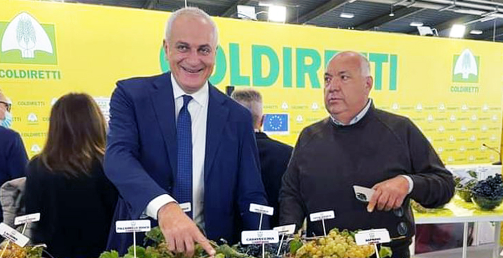EMERGENZA CINGHIALI, GLI AGRICOLTORI POSSONO DIFENDERSI EMERGENZA CINGHIALI, GLI AGRICOLTORI POSSONO DIFENDERSI