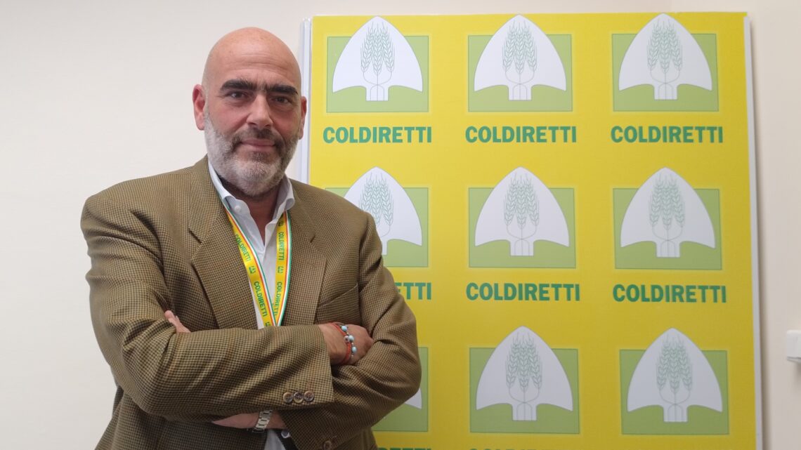 STOP AL FOTOVOLTAICO SELVAGGIO: LA SODDISFAZIONE DI COLDIRETTI CAMPANIA / VIDEO