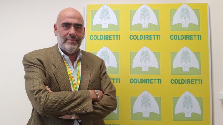 STOP AL FOTOVOLTAICO SELVAGGIO: LA SODDISFAZIONE DI COLDIRETTI CAMPANIA / VIDEO
