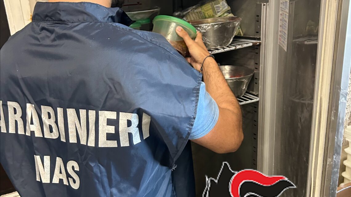 ANGRI (SA): CARABINIERI. SERVIZIO STRAORDINARIO DI CONTROLLO DELTERRITORIO.