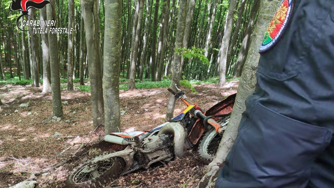 Summonte – I militari del Nucleo Carabinieri Forestale di Cervinara Intervengono per contrastare un’attività di motocross non autorizzata in area protetta. Summonte – I militari del Nucleo Carabinieri Forestale di Cervinara Intervengono per contrastare un’attività di motocross non autorizzata in area protetta.