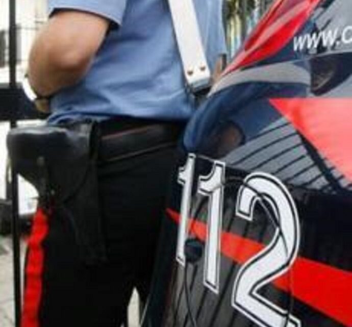MIRABELLA ECLANO (AV) – LOTTA ALLA ILLEGALITÀ “SETTORIALIZZATA”: I CARABINIERI SCOPRONO LA FINTA VENDITA DI UN CUCCIOLO ON LINE