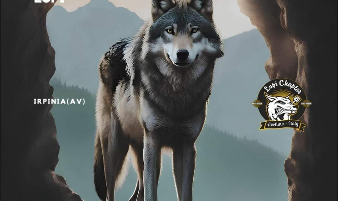 𝗥𝘂𝗻 𝗱𝗲𝗹 𝗧𝗿𝗶𝗰𝗼𝗹𝗹𝗲 – 𝗜𝗜 🐺⛰️ 𝟮𝟭 | 𝟮𝟯 𝗚𝗶𝘂𝗴𝗻𝗼 𝟮𝟬𝟮𝟰