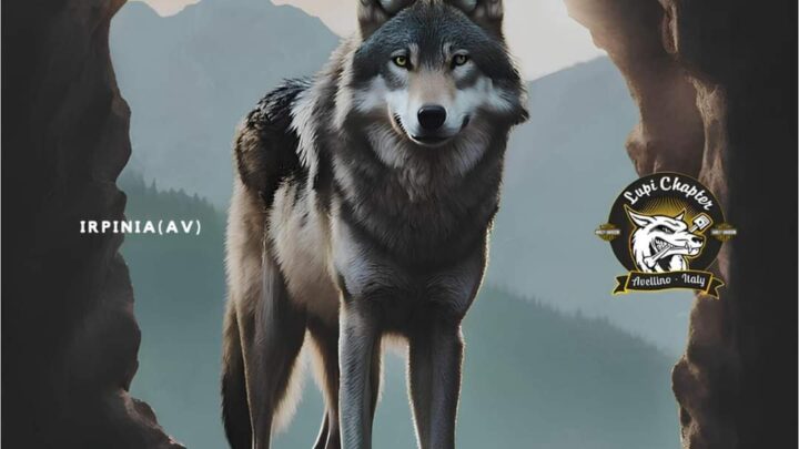 𝗥𝘂𝗻 𝗱𝗲𝗹 𝗧𝗿𝗶𝗰𝗼𝗹𝗹𝗲 – 𝗜𝗜 🐺⛰️ 𝟮𝟭 | 𝟮𝟯 𝗚𝗶𝘂𝗴𝗻𝗼 𝟮𝟬𝟮𝟰