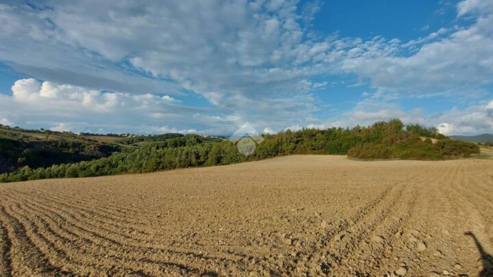 GIORNATA AMBIENTE: COLDIRETTI, CEMENTIFICAZIONE FA SPARIRE DUE TERRENI AGRICOLI AL GIORNO