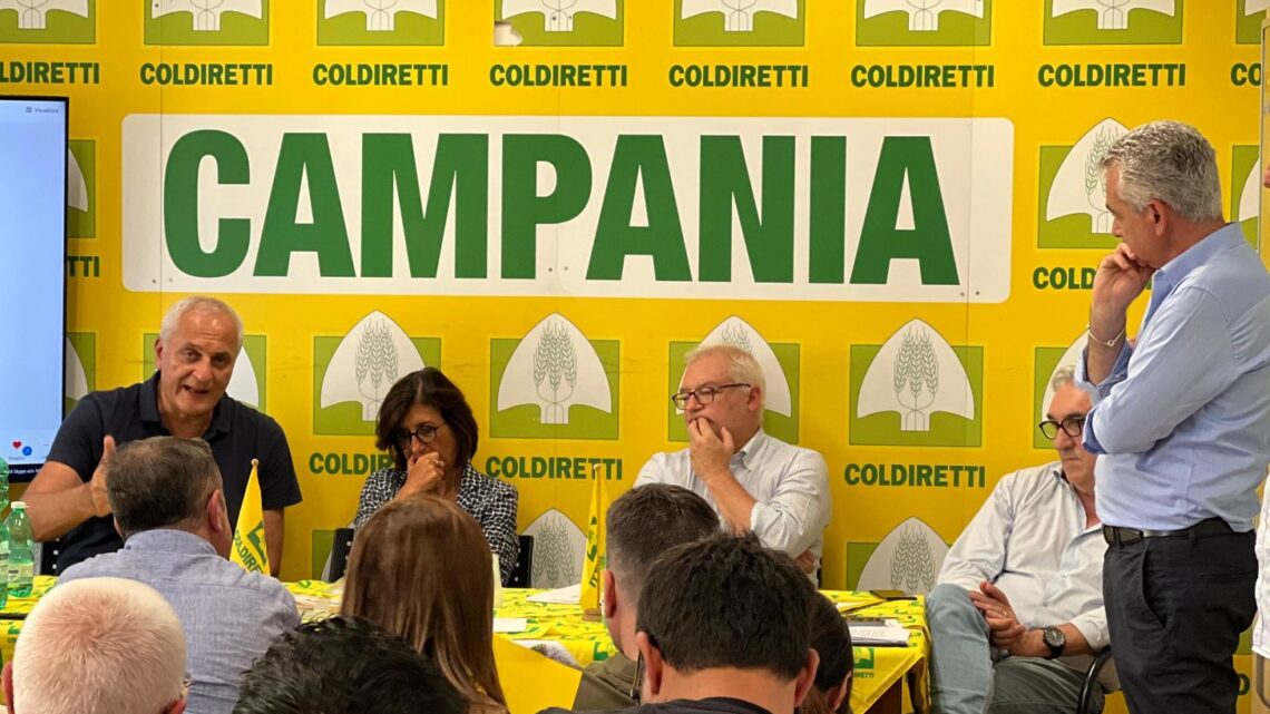 L’agricoltura della Campania lancia la sfida ai cambiamenti climatici L’agricoltura della Campania lancia la sfida ai cambiamenti climatici