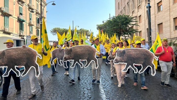 BASTA CINGHIALI, LA COLDIRETTI CAMPANIA AL LAVORO CON POLITICI ED AGRICOLTORI PER USCIRE DALL’EMERGENZA