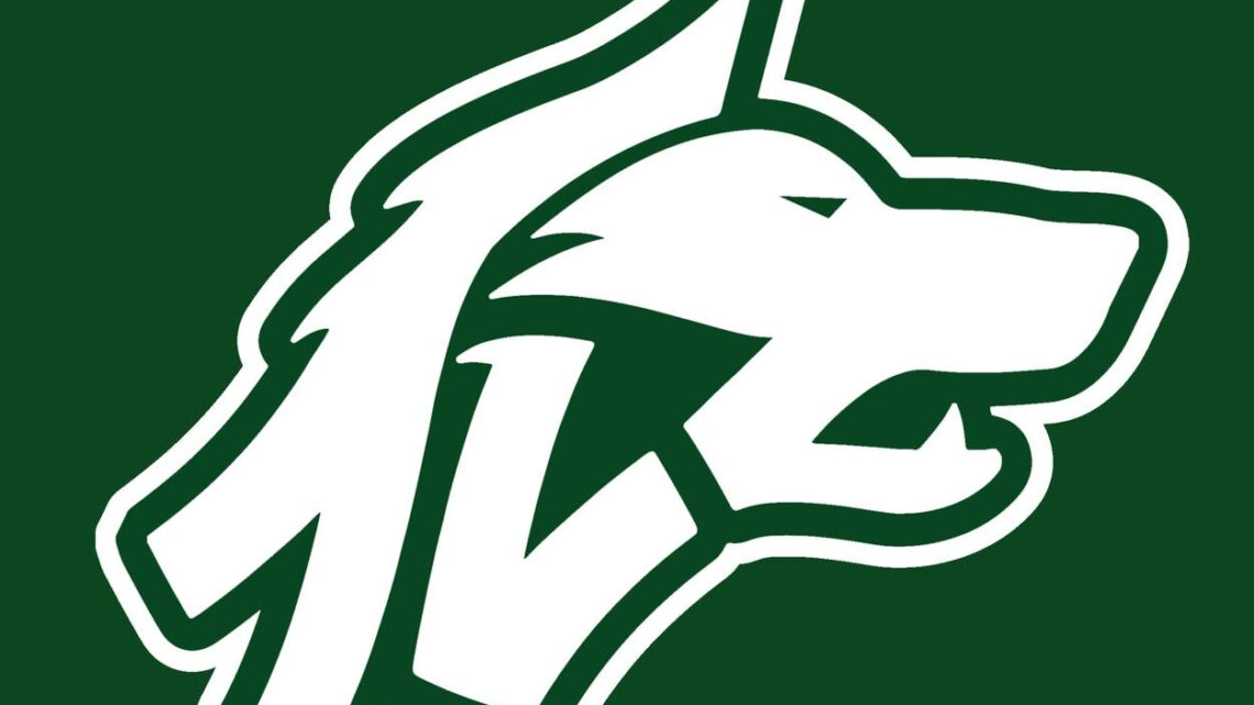CANCELLATA LA DEL-FES, E’ NATA “AVELLINO BASKET”