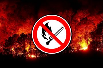 INCENDI BOSCHIVI, ECCO IL PIANO REGIONALE TRIENNALE PER LA PREVISIONE, LA PREVENZIONE E IL CONTRASTO INCENDI BOSCHIVI, ECCO IL PIANO REGIONALE TRIENNALE PER LA PREVISIONE, LA PREVENZIONE E IL CONTRASTO