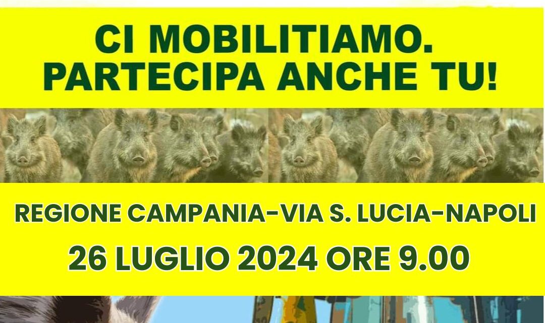 EMERGENZA CINGHIALI, DOMANI SIT-IN COLDIRETTI DAVANTI ALLA REGIONE CAMPANIA A SANTA LUCIA